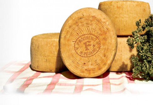 PECORINO DI FILIANO PECORINO DI FILIANO