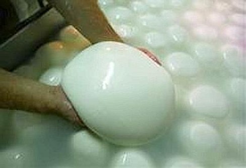 MOZZARELLA MOZZARELLA