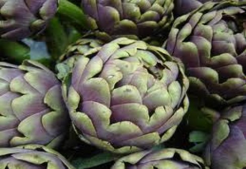 CARCIOFO ROMANESCO DEL LAZIO CARCIOFO ROMANESCO DEL LAZIO