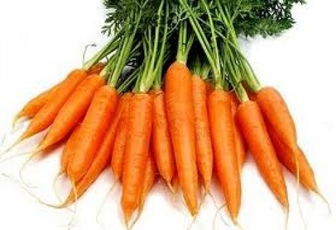 CAROTA DELL’ALTOPIANO DEL FUCINO CAROTA DELL’ALTOPIANO DEL FUCINO