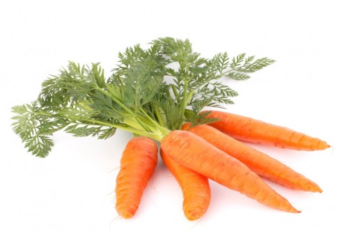 CAROTA NOVELLA DI ISPICA CAROTA NOVELLA DI ISPICA