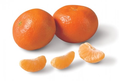 CLEMENTINE DI CALABRIA CLEMENTINE DI CALABRIA