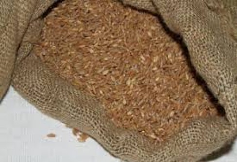 FARRO DI MONTELEONE DI SPOLETO FARRO DI MONTELEONE DI SPOLETO