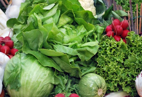 INSALATA DI LUSIA INSALATA DI LUSIA