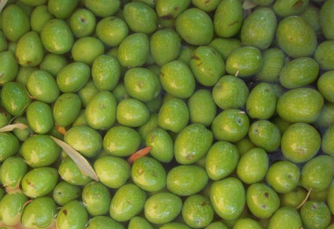 NOCELLARA DEL BELICE NOCELLARA DEL BELICE