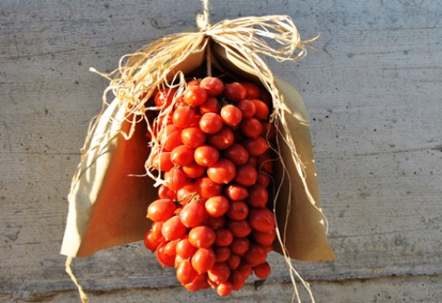 POMODORINO DEL PIENNOLO DEL VESUVIO POMODORINO DEL PIENNOLO DEL VESUVIO