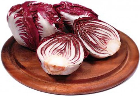 RADICCHIO DI CHIOGGIA RADICCHIO DI CHIOGGIA