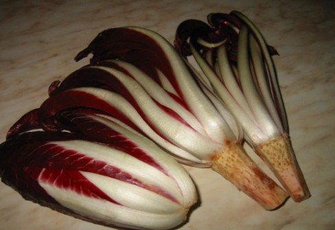 RADICCHIO DI TREVISO RADICCHIO DI TREVISO