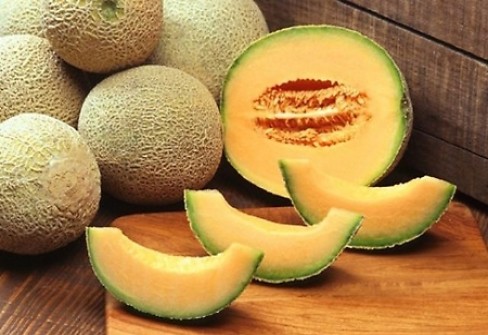 MELONE MANTOVANO MELONE MANTOVANO